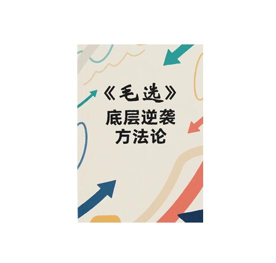 《毛选-底层逆袭方法论》PDF