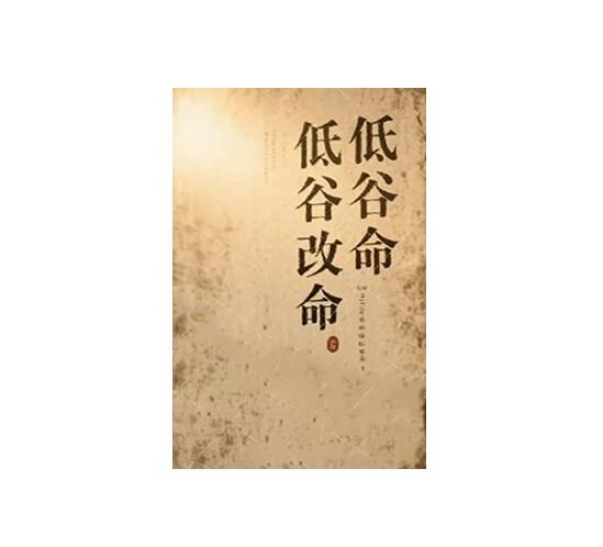 《低谷改命》PDF