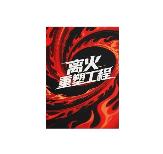 《离火重塑工程》PDF