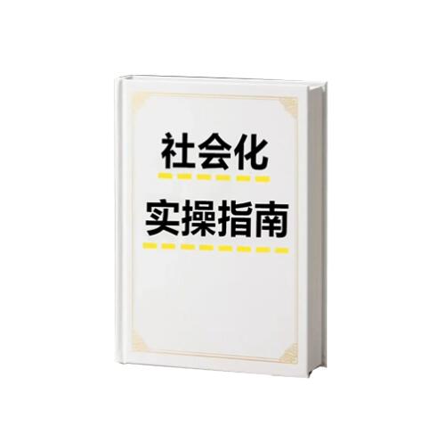 《社会化实操指南》PDF