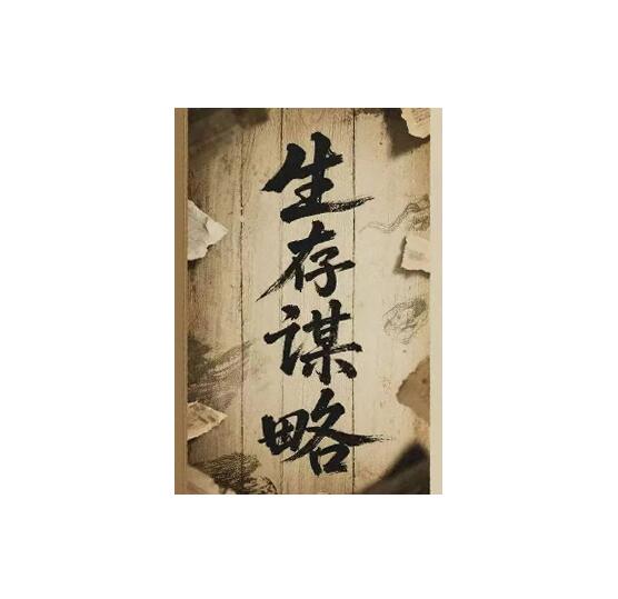 《生存谋略》PDF