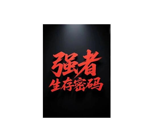 《强者生存密码》PDF