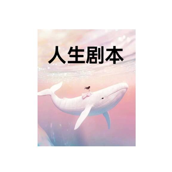 《人生剧本》PDF