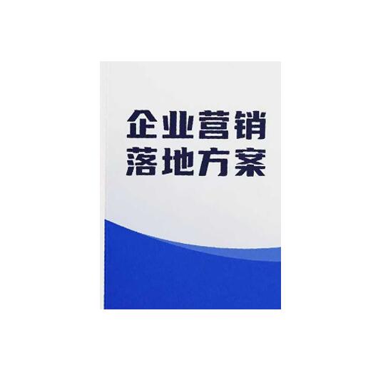 《企业营销落地方案》PDF