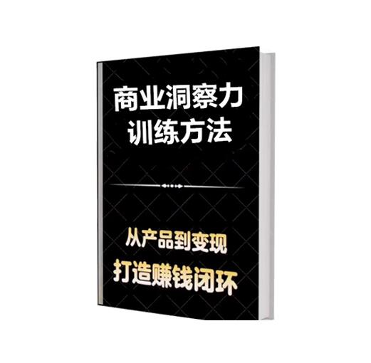 《商业洞察力训练方法》PDF