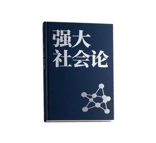 《强大社会论》PDF