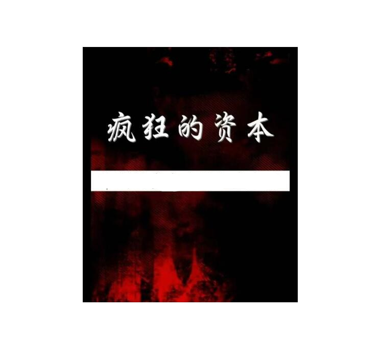 《疯狂的资本》PDF