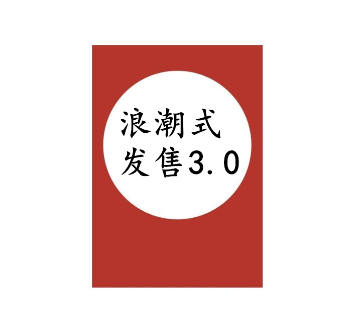 《浪潮式发售3.0》