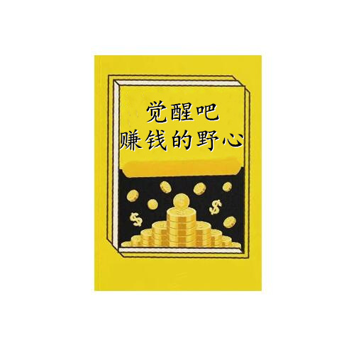 《觉醒吧赚钱的野心》PDF