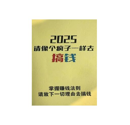 《2025请像个疯子一样去搞钱》PDF