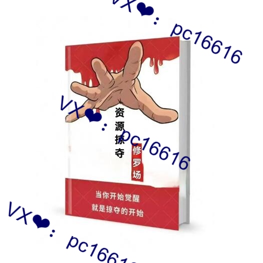 《资源掠夺修罗场》PDF