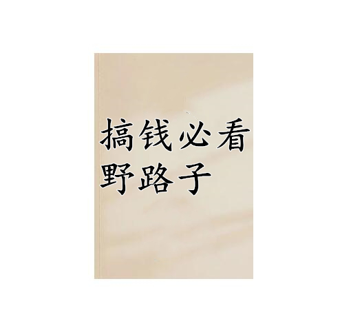 《搞钱必看野路子》PDF