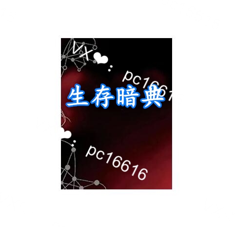 《生存暗典》PDF