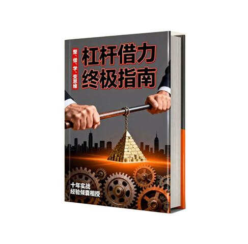 《杠杆借力终极指南》PDF