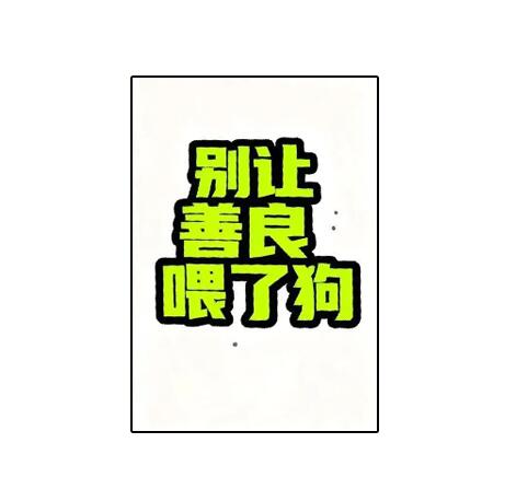 《别让善良喂了狗》PDF