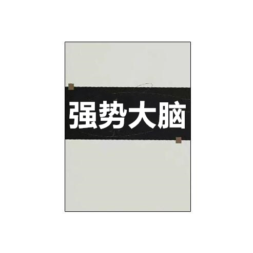 《强势大脑》PDF