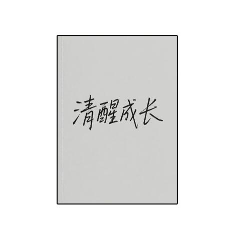 《清醒成长》PDF