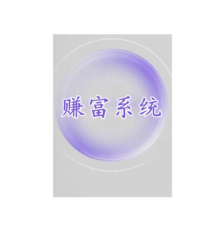 《赚富系统》PDF