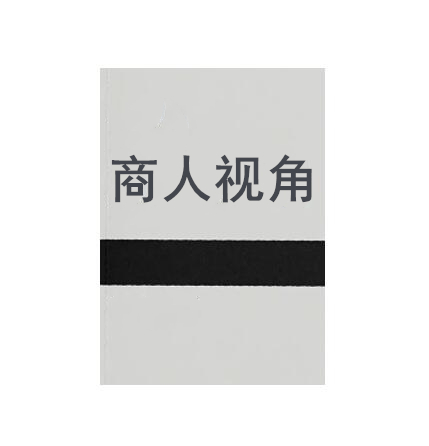 《商人视角》PDF