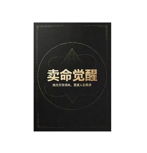 《卖命觉醒》PDF